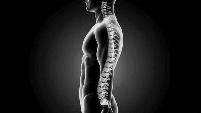 Neutral Spine Posture 1