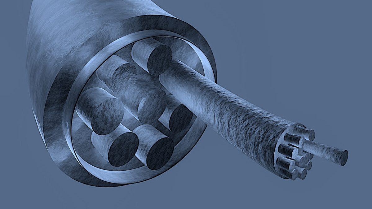 Muscle Section 7039749 1280