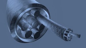 Muscle Section 7039749 1280