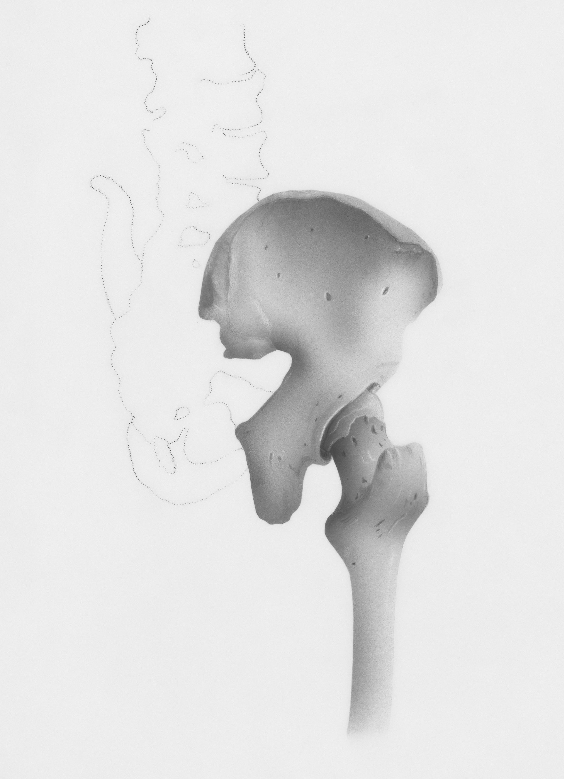 Femur