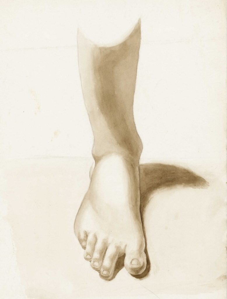 Study of a foot and ankle RMG PY6039.tiff